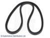 BLUE PRINT AD10V1130 V-Ribbed Belts